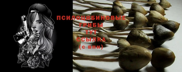 трава Корсаков