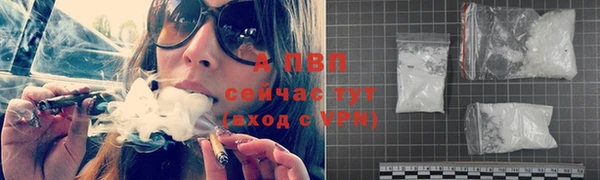 бошки Кодинск