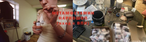 шишки Козельск