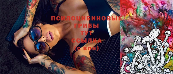 трава Корсаков