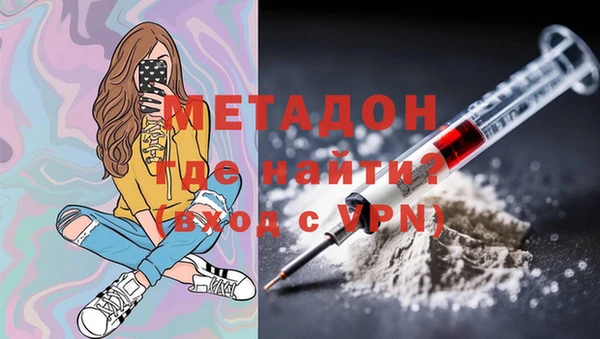 трава Корсаков